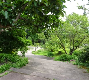 Höhenpark Killesberg