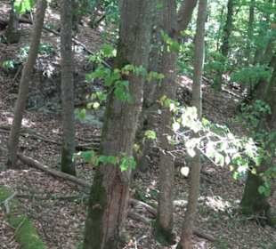 Unterer Greifenstein