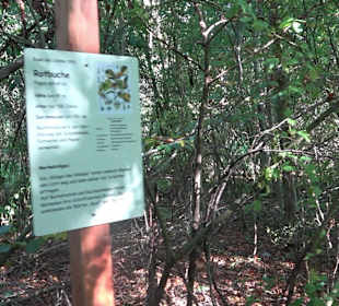 Baumlehrpfad Zollertal