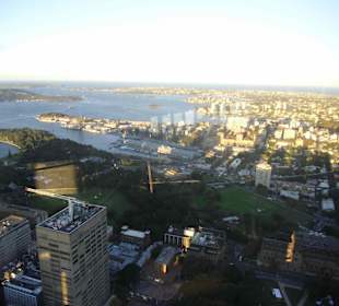 Sydney Tower