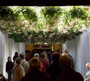 Unter einem Dach aus Blumen