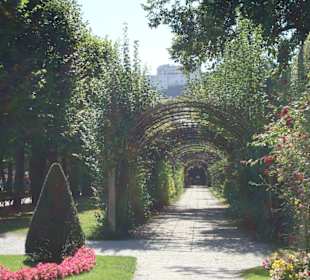 Im Mirabellgarten