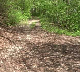 Wandertour durchs Reissenbachtal Oberhausen