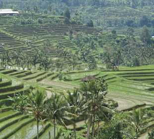 Wundervolle Reisterrasse...