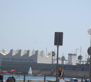 Segelschule mit Hafen im Hintergrund