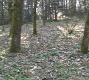 Wanderung Florianrunde