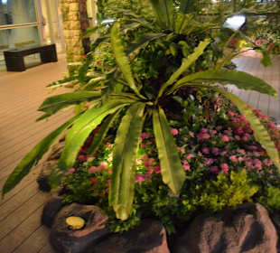 Flughafen Singapur Changi (SIN)