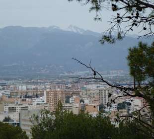 Blick vom Castell de Bellver