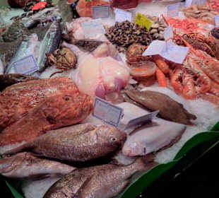 Rundgang durch die Markthalle La Boqueria