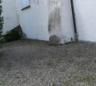 Römisch-katholische Pfarrkirche St. Martin