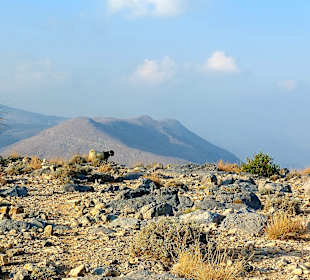 Ausflug Jebel Harim