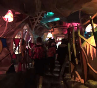 Themenbereich Österreich