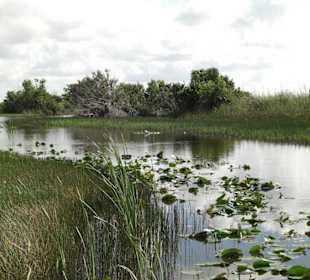 Everglades National Park