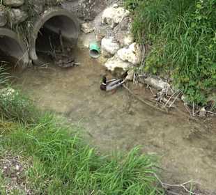 Wandertour durchs Reissenbachtal Oberhausen