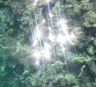 Tauchen im Meer beim Hotel Aldiana Makadi Bay