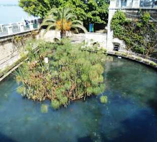 Brunnen Fonte Aretusa