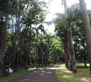 Botanischer Garten