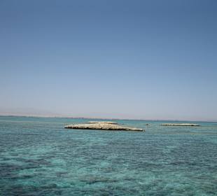 Schnorcheltour "Delphinhouse"