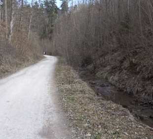 Geologischer Lehrpfad Kirnbachtal