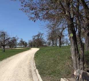 Premiumwanderweg "hochgeblickt"