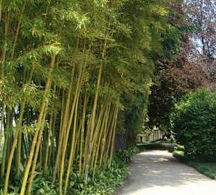 Der berühmte Garten Melzi
