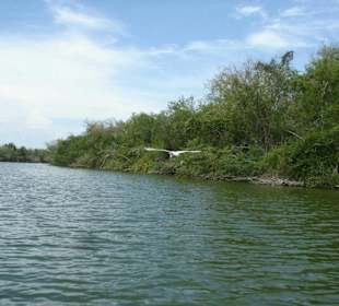 Flußfahrt zur "Laguna Tres Palos"