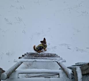 Wandern Güntersberge