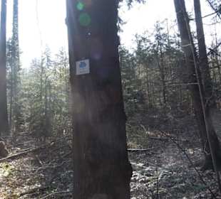 Wanderung Florianrunde