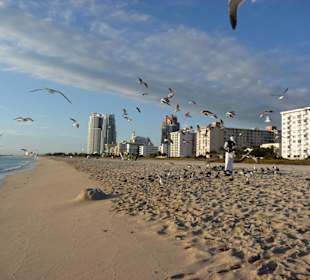 Abendstimmung South Beach