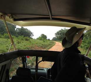 Zu zweit Safaribus - eifach genial