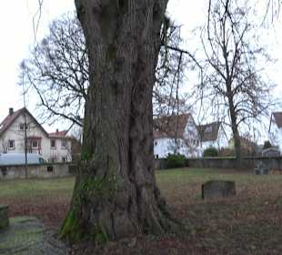 Alter Friedhof Pliezhausen