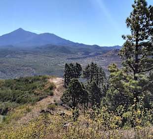 Teide