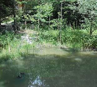 Fluch der Piraten 2013