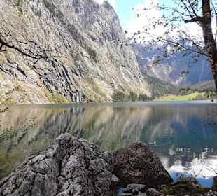 Obersee