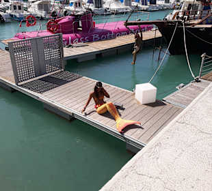 Im Hafen gibt es manchen merkwürdigen Fisch