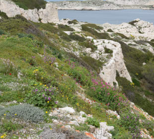 Wanderung Frioul-Inseln