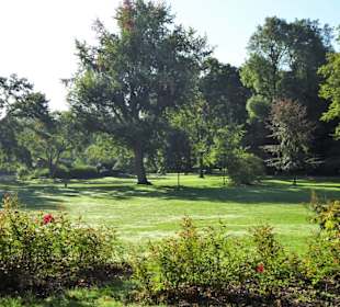 Impressionen aus dem Stadtpark von Lübeck