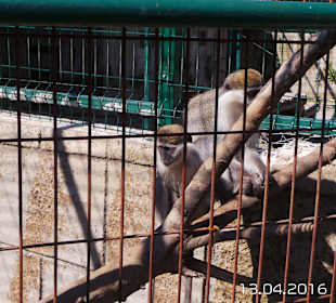 Discovery Park Manavgat