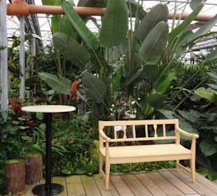 Raffeiner Orchideenwelt