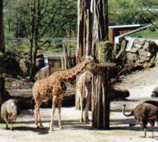 Zoo Osnabrück