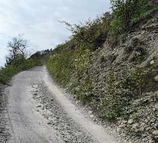 Aufstieg zum Gipfel des Jenzig