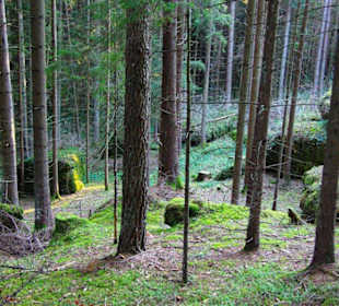 Kletterparadies in Kirchenbirkig