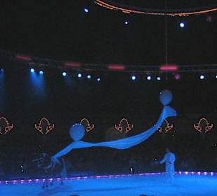 Europa Park - Winterzauber / Ice-Show