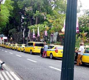 In der Innenstadt von Funchal in der Avenida Arriaga
