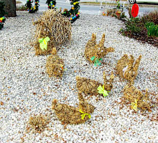 Rollnhofen Hersbruck