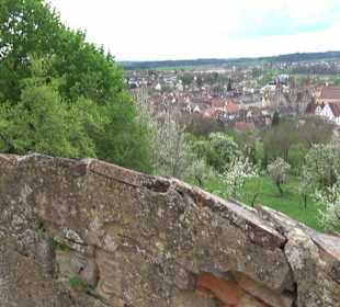 Schloss ob Ellwangen