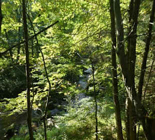 Von Bayerisch Eisenstein nach Ludwigsthal