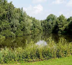 Wasserflächen mit natürlichen Uferzonen