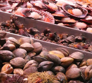 Bunter Markt in Santa Cruz