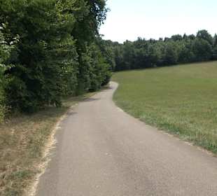 Wandertour Stahleck Greifenstein